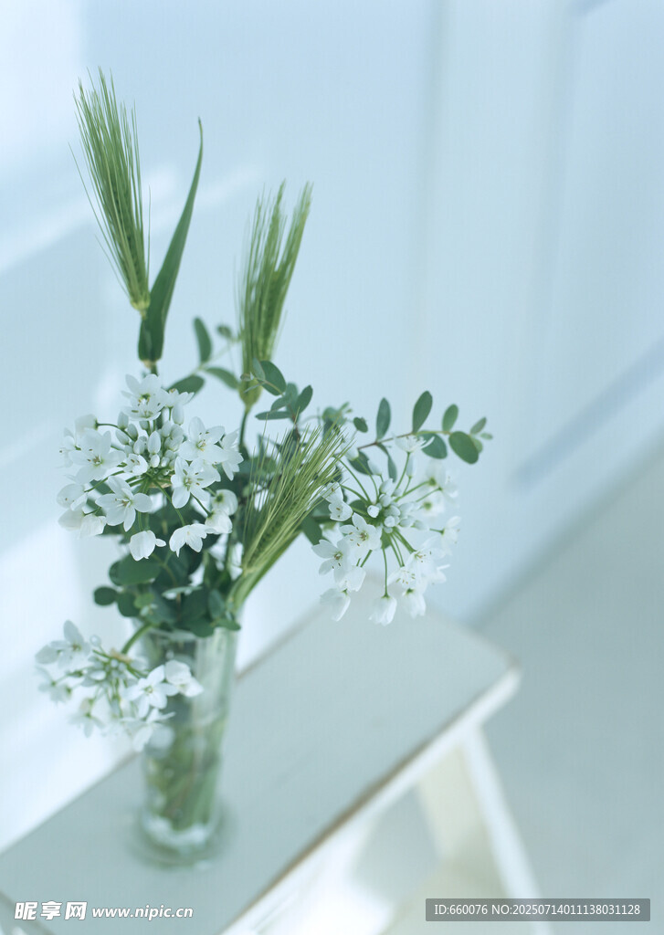 玻璃花瓶中的清新小白花