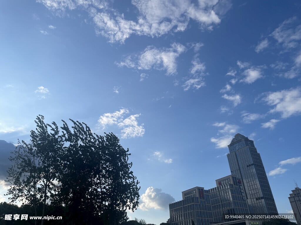 蓝天白云下的城市与绿树