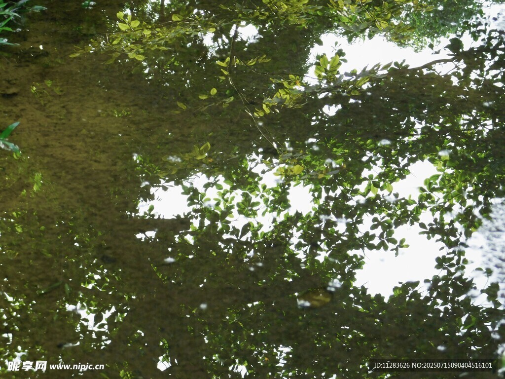 湖水倒影