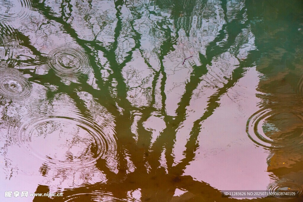 水中树影