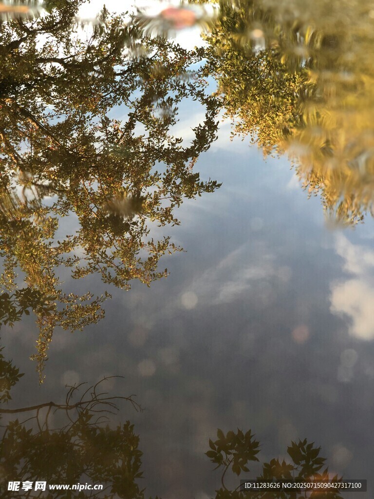 湖面树影倒映的静谧美景