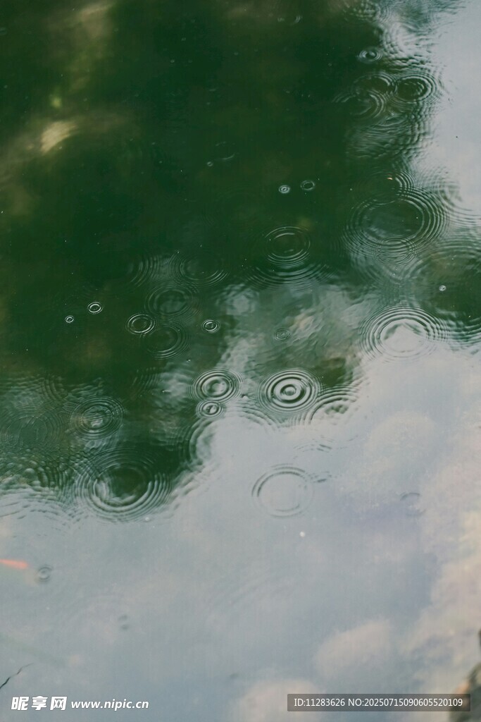 湖面树影倒影