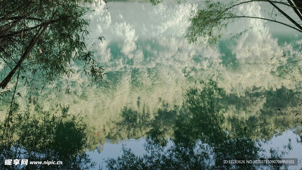 水面树影