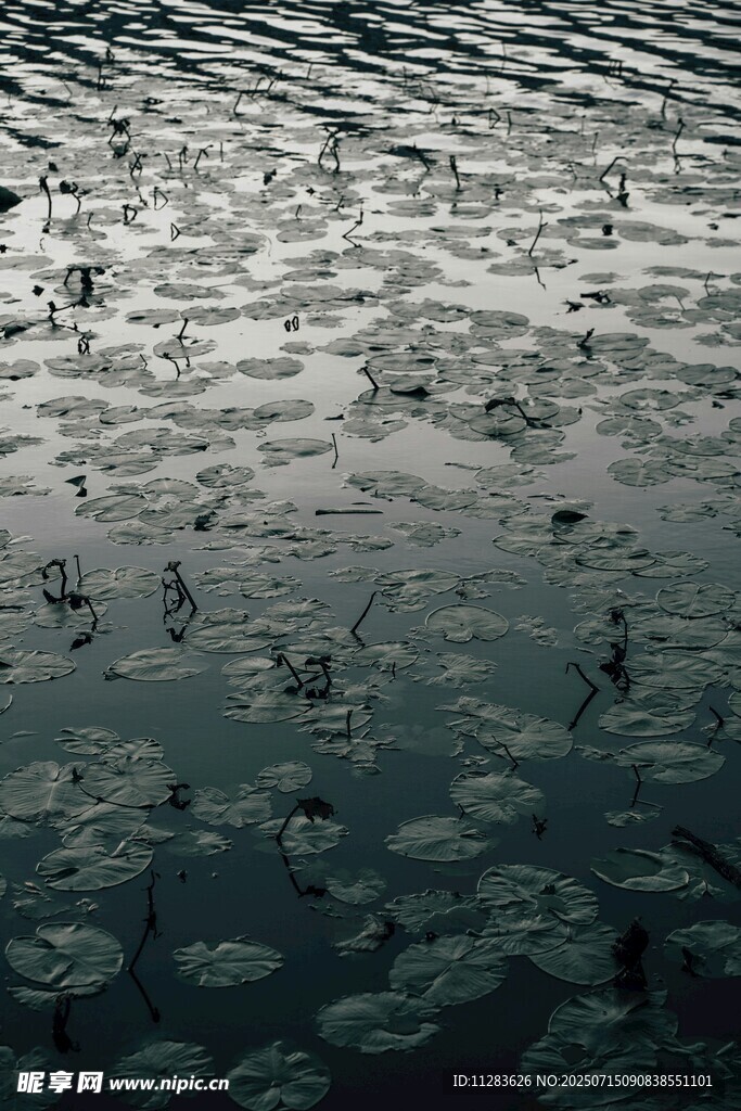 水面雨滴泛起层层涟漪