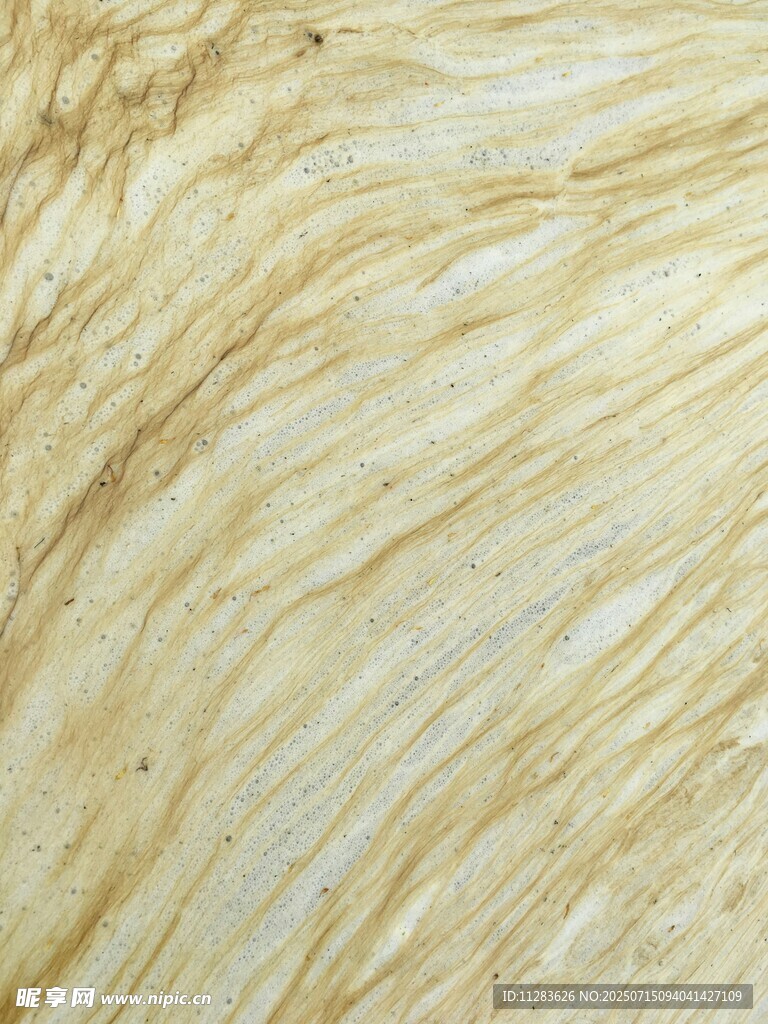 浅色木纹纹理特写