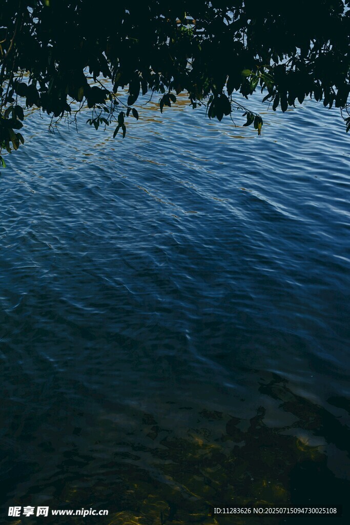 宁静湖水