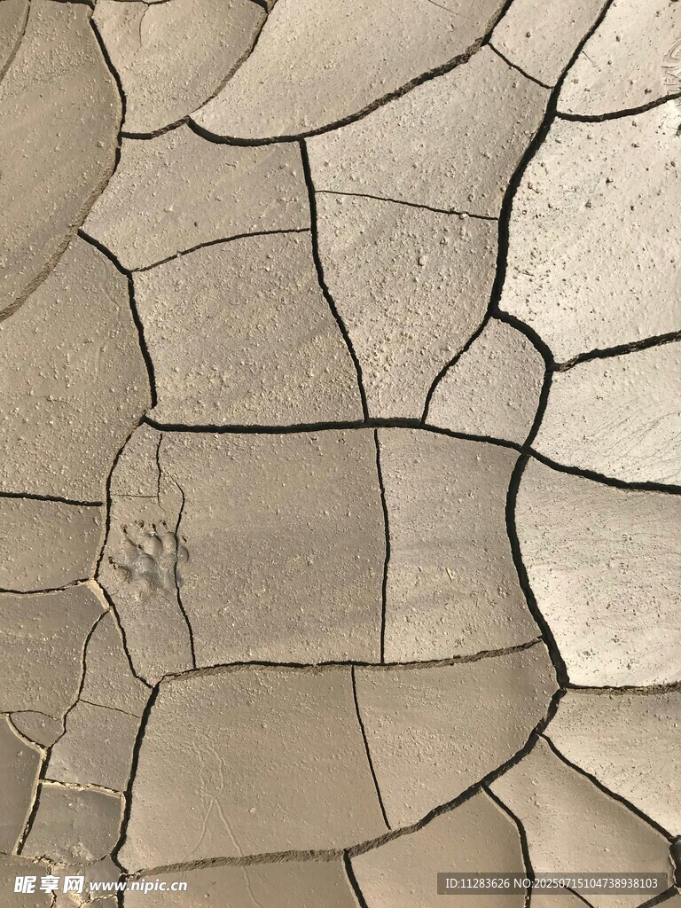 干裂土地纹理特写