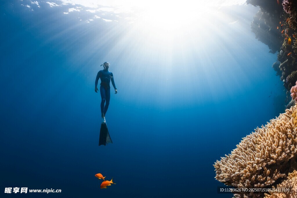 深海潜水者与缤纷海底世界