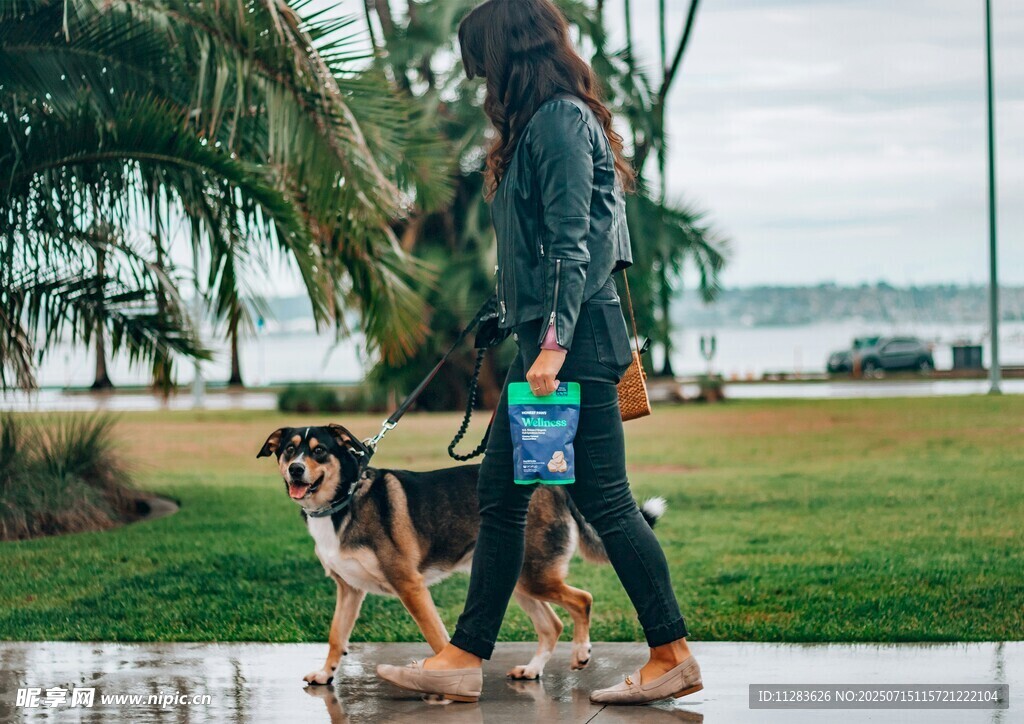 雨中女子牵两犬漫步