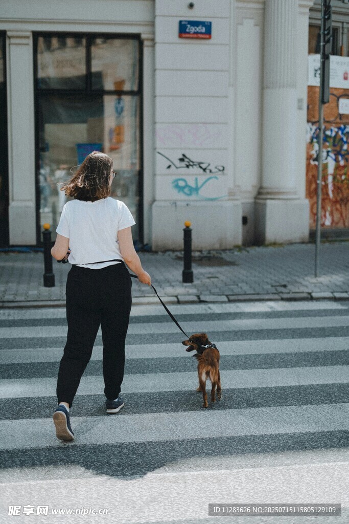 女子街头牵小狗漫步