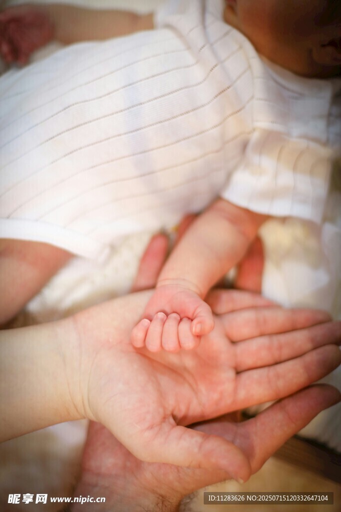 父母掌心的新生婴儿小手