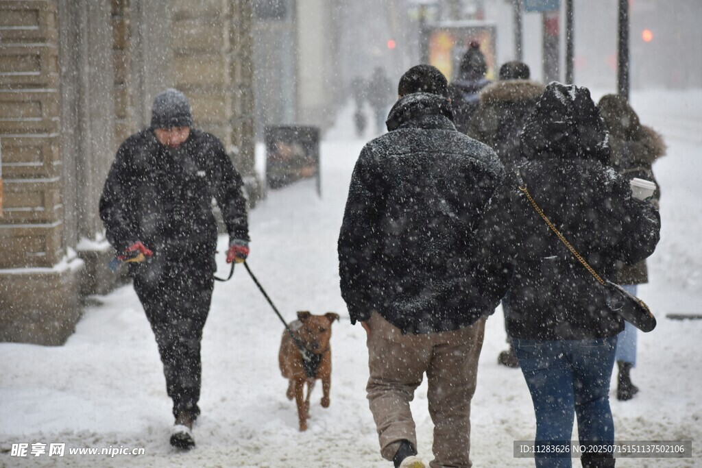 雪中行人牵狗漫步