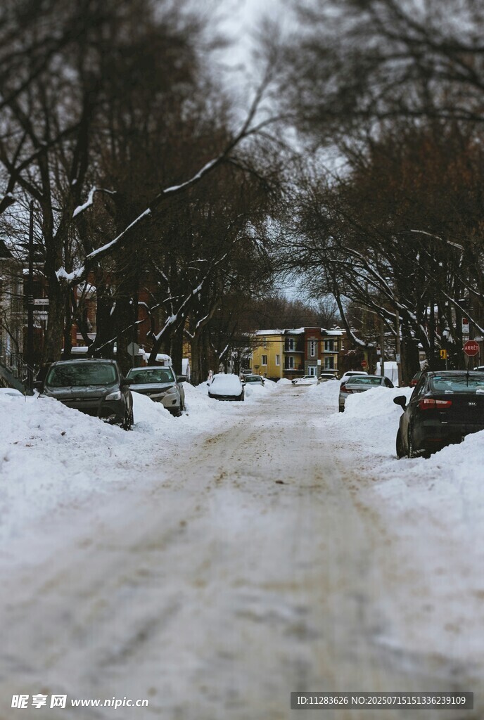 冬日雪景中的静谧街道