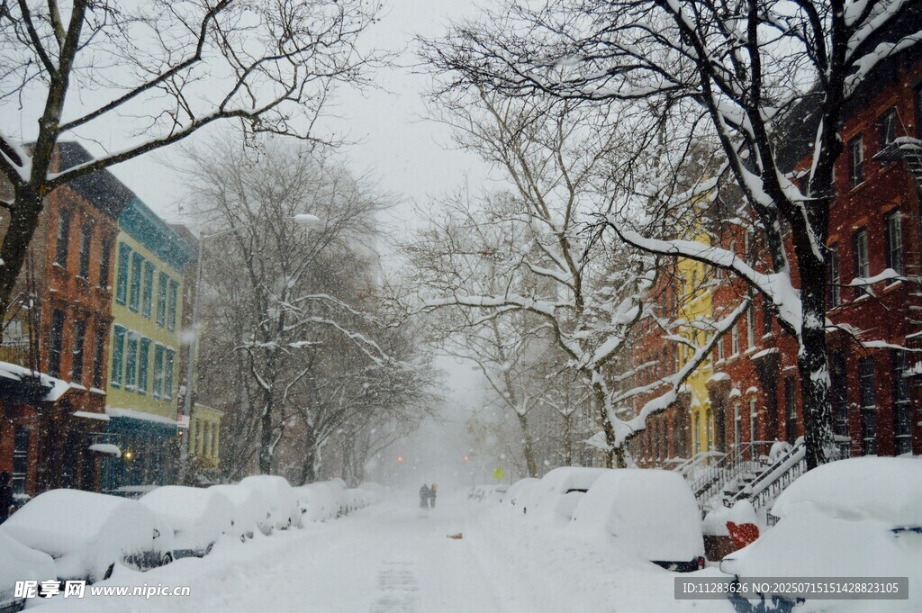 雪后街道的静谧冬日景象