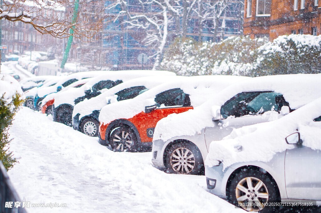 雪后街道上停放的多彩汽车