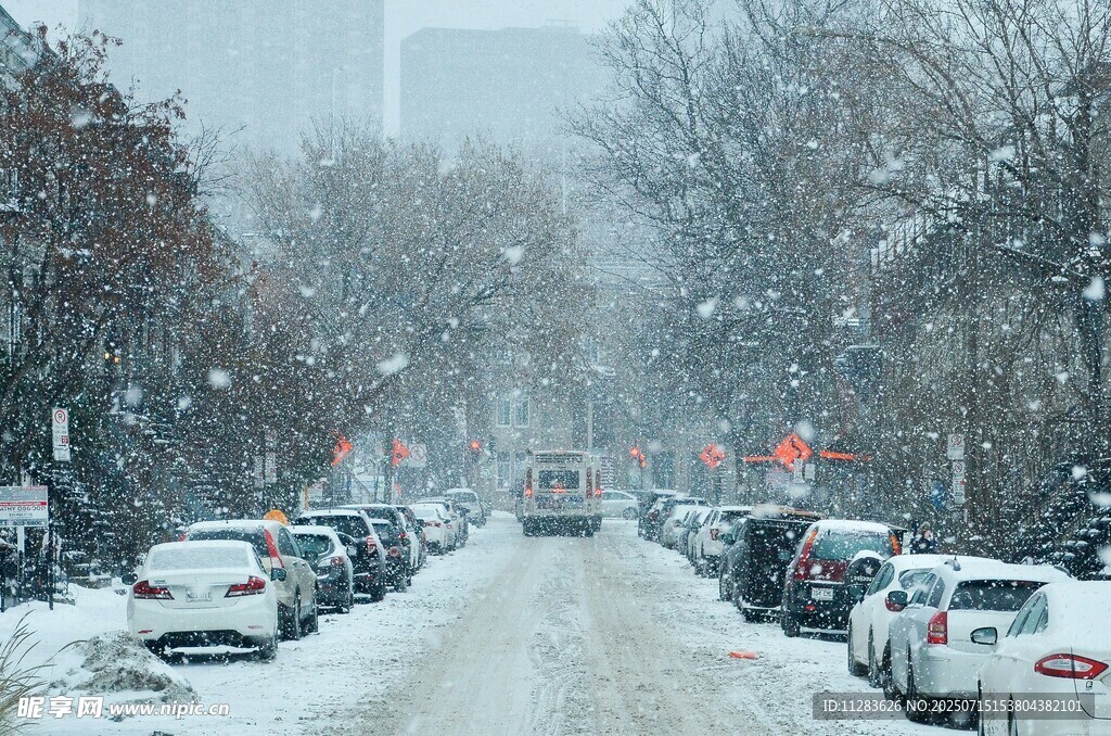 雪天街道上的车辆与雪景