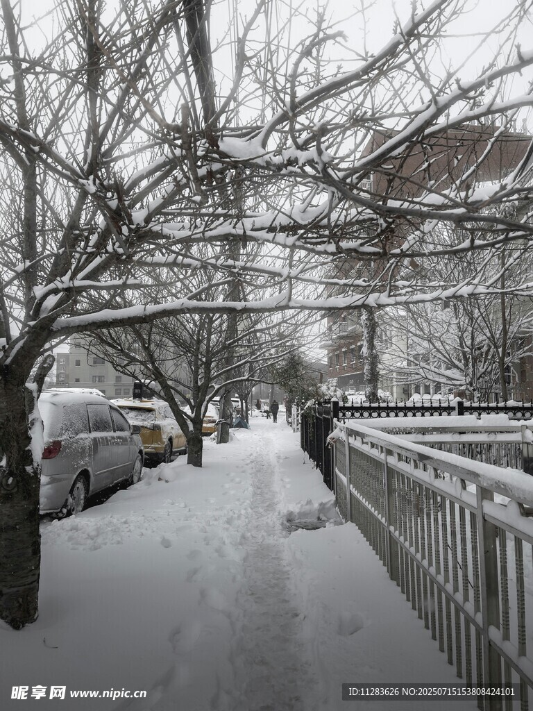 冬日雪后静谧的街道景象