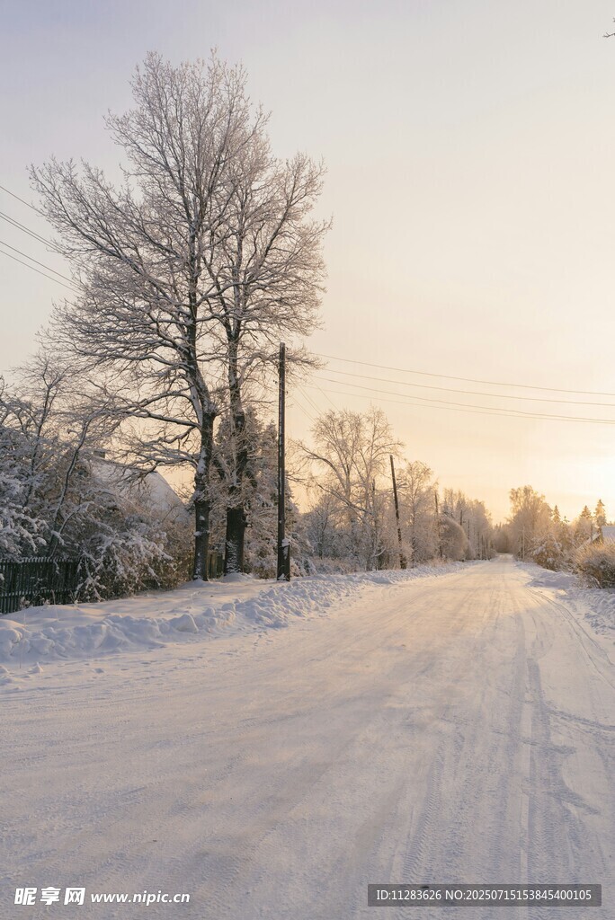 冬日雪路