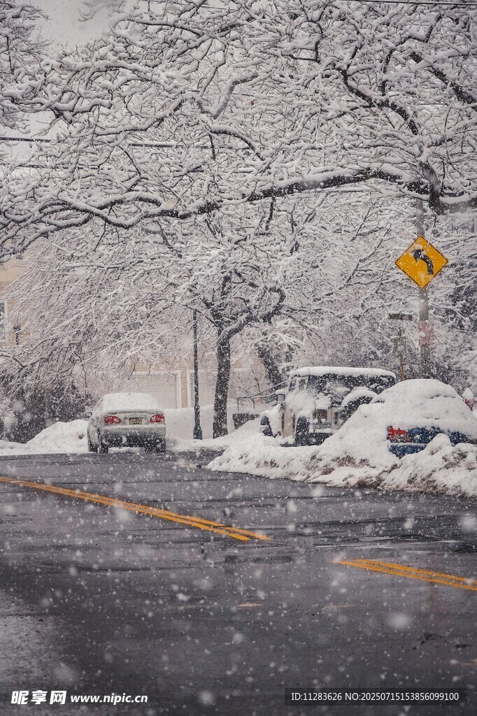 雪天道路景象