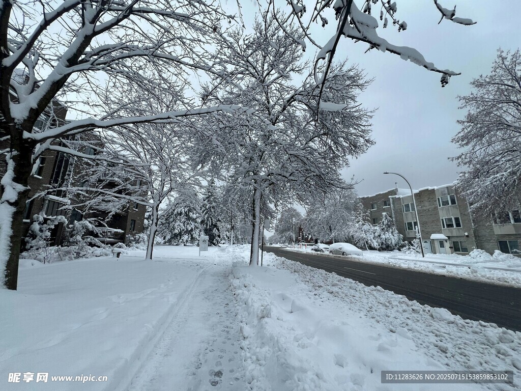 冬日雪后街道雪景