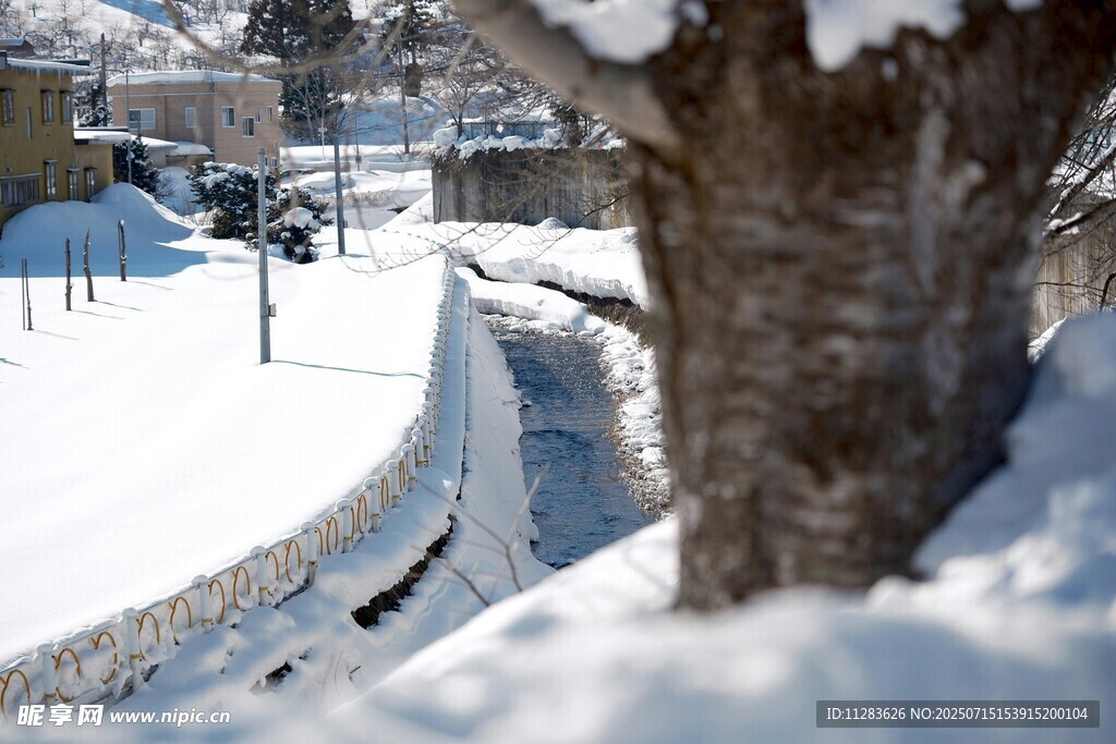 冬日雪景中的静谧街道