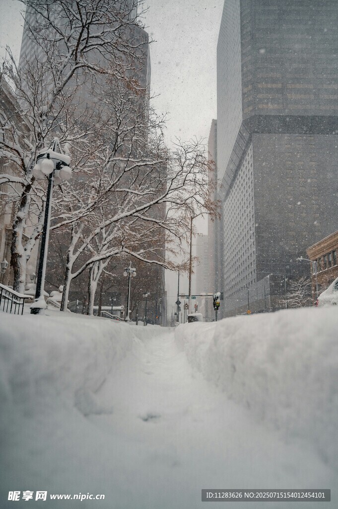 城市雪后街道景象