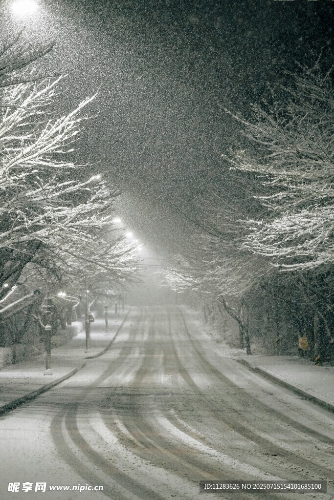 雪夜中的林间道路