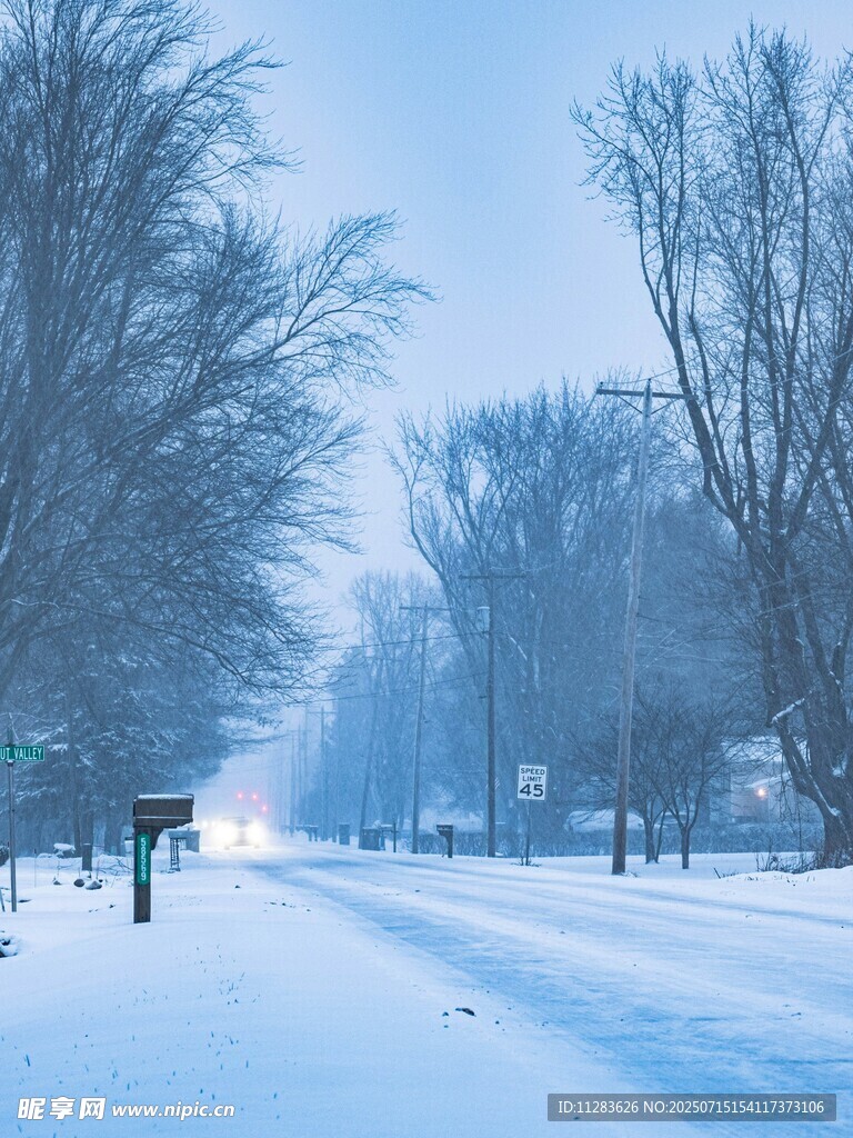 冬日雪后静谧的林间道路