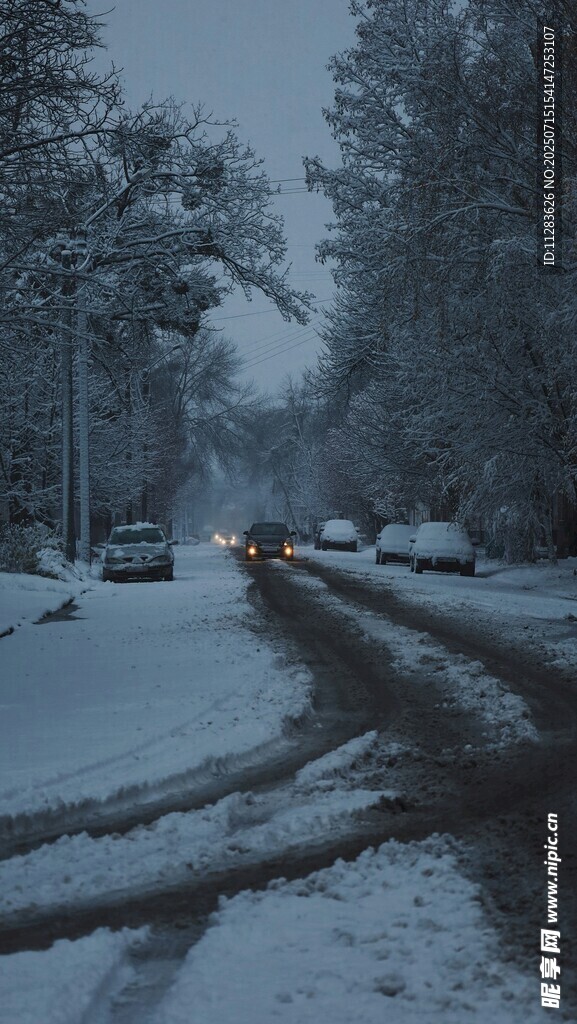 雪后道路上的车辆与雪景