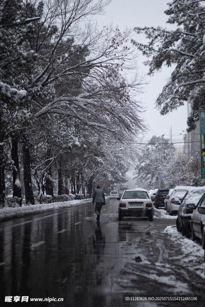 雪后街道景象
