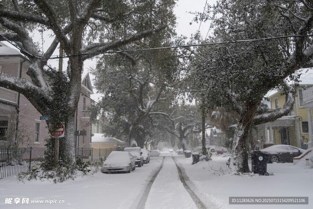 雪后静谧街道景象