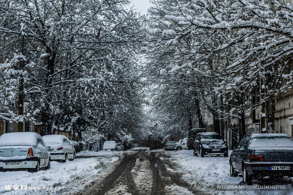 冬日雪后街道景象