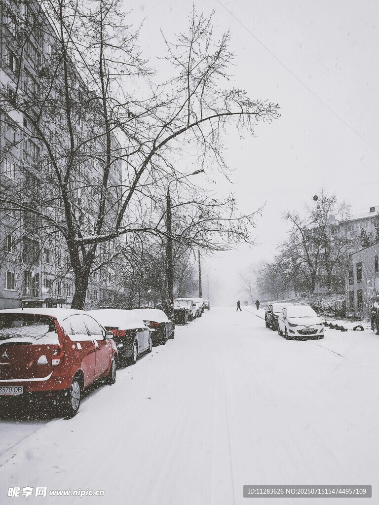 雪天街道上的积雪与车辆