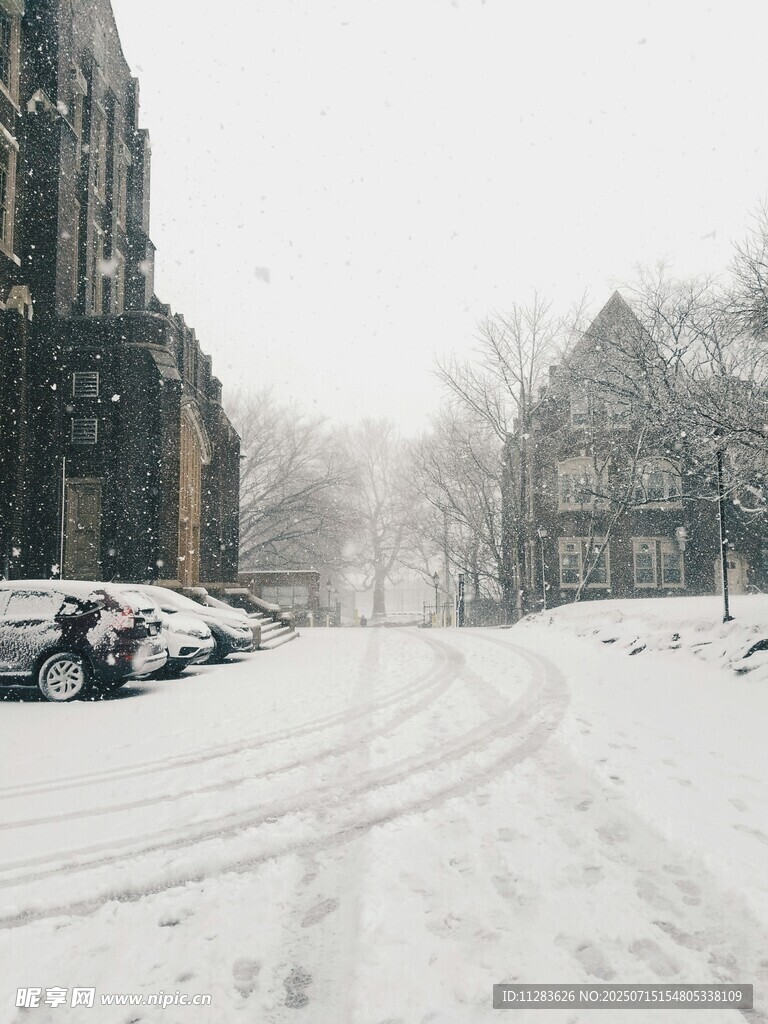 雪后街道