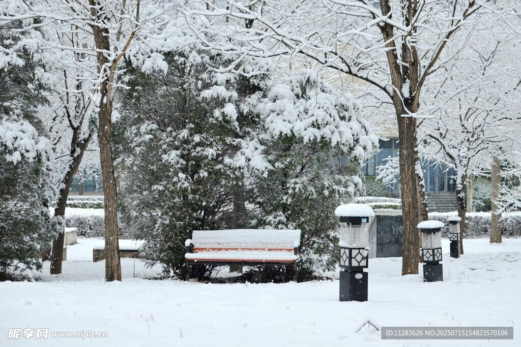 冬日雪景中的户外休闲场景