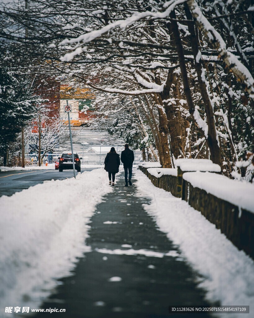 雪后行人漫步林间小道