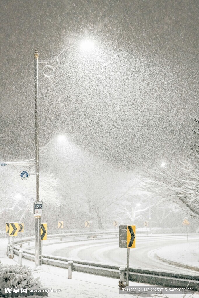 大雪纷飞中的道路景象