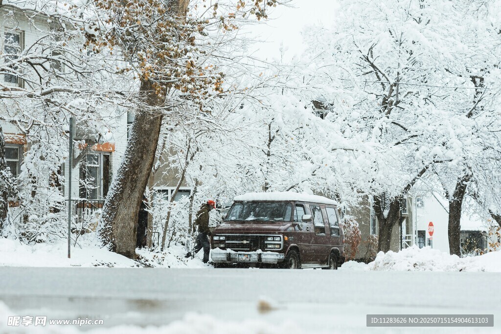 雪后街道上的车辆与树木