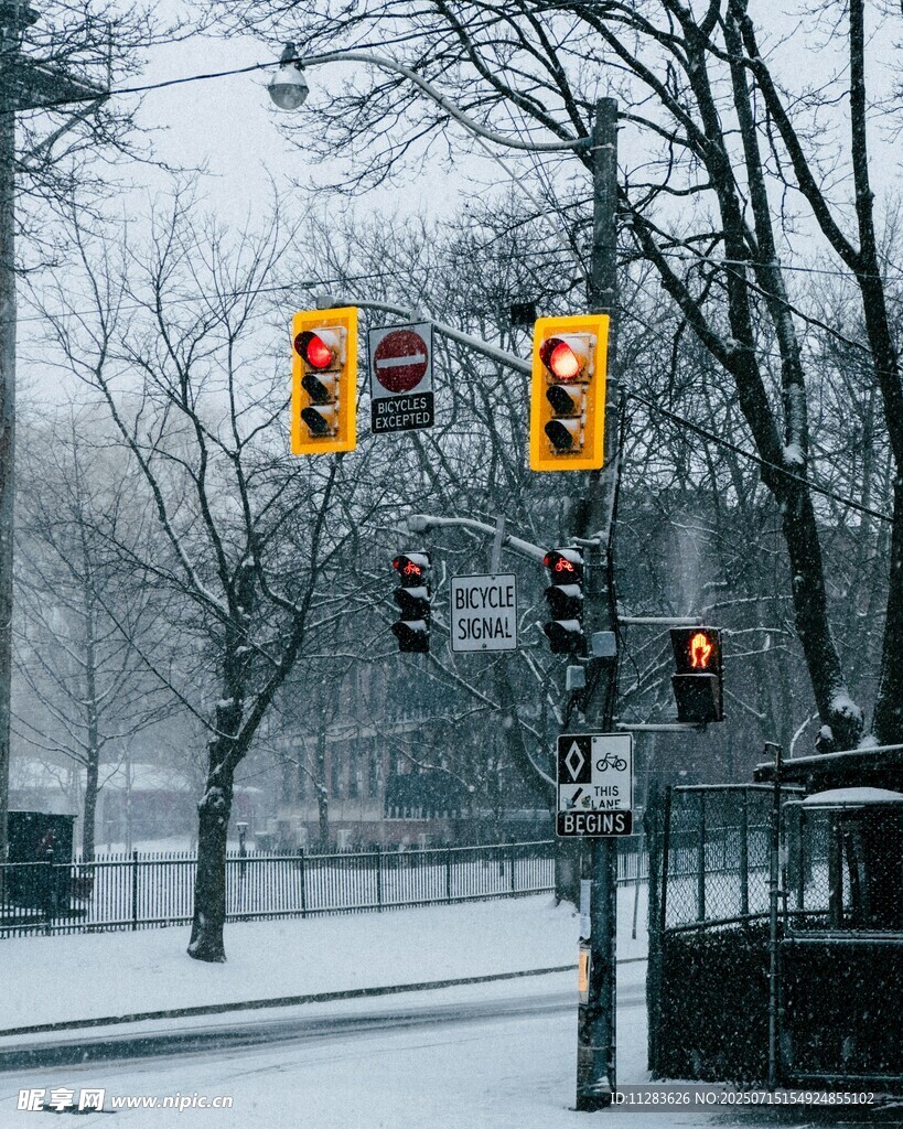 雪天中的交通信号灯