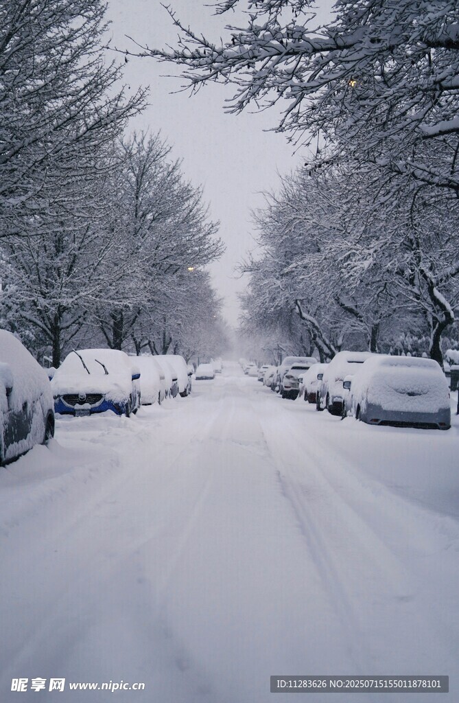 雪后街道