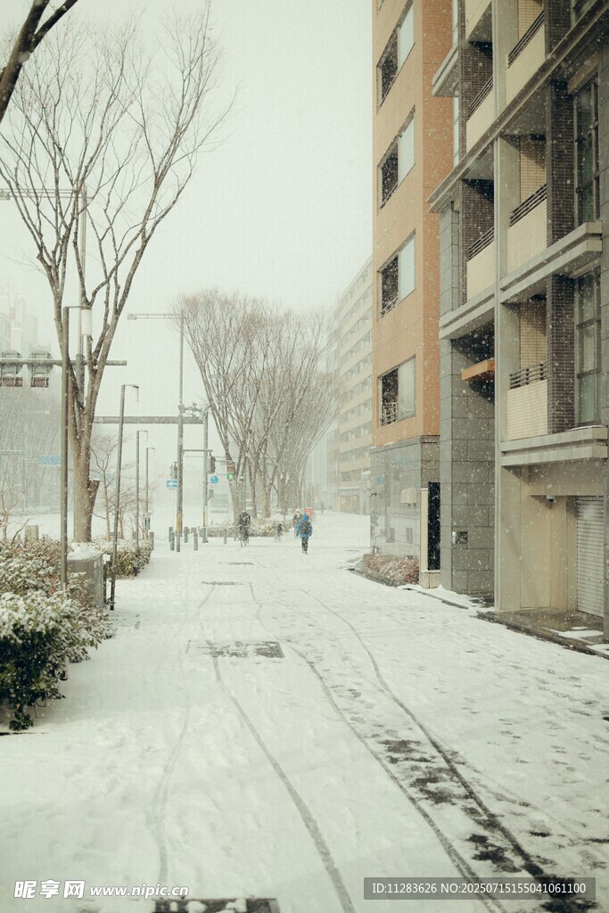冬日雪后小区静谧街道