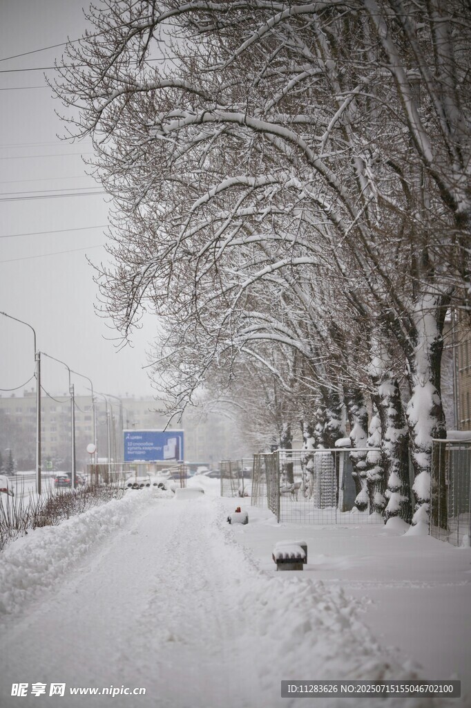 雪后街道