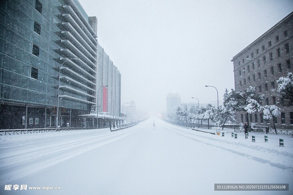 雪后城市街道景象