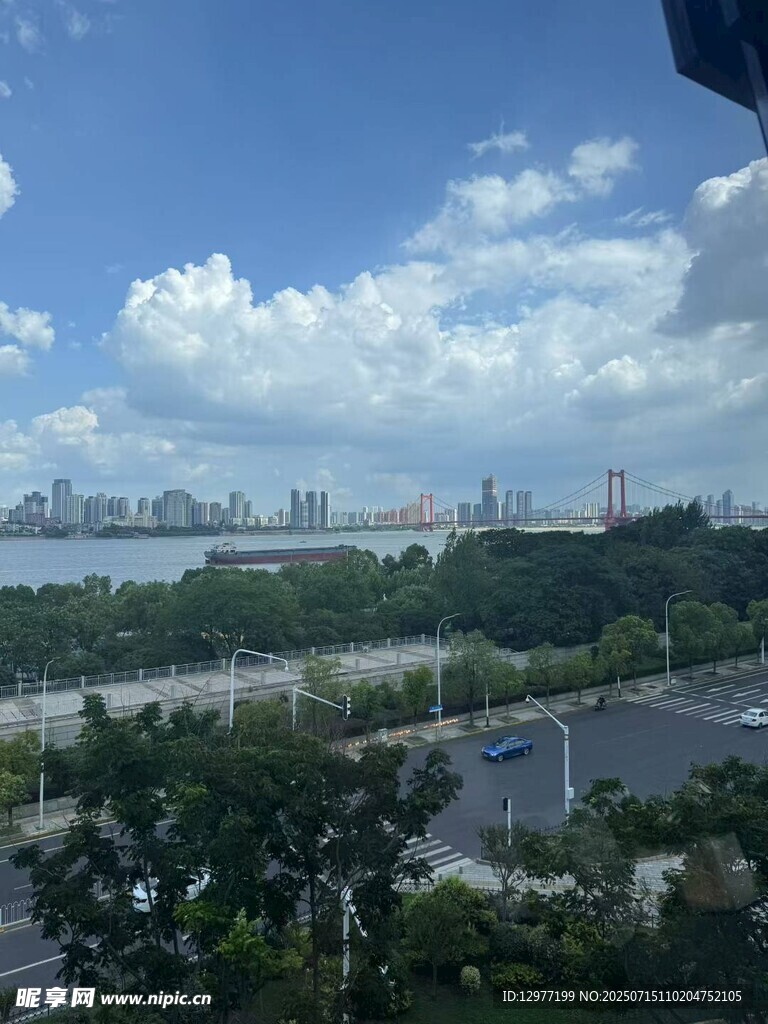 城市河畔绿树景观