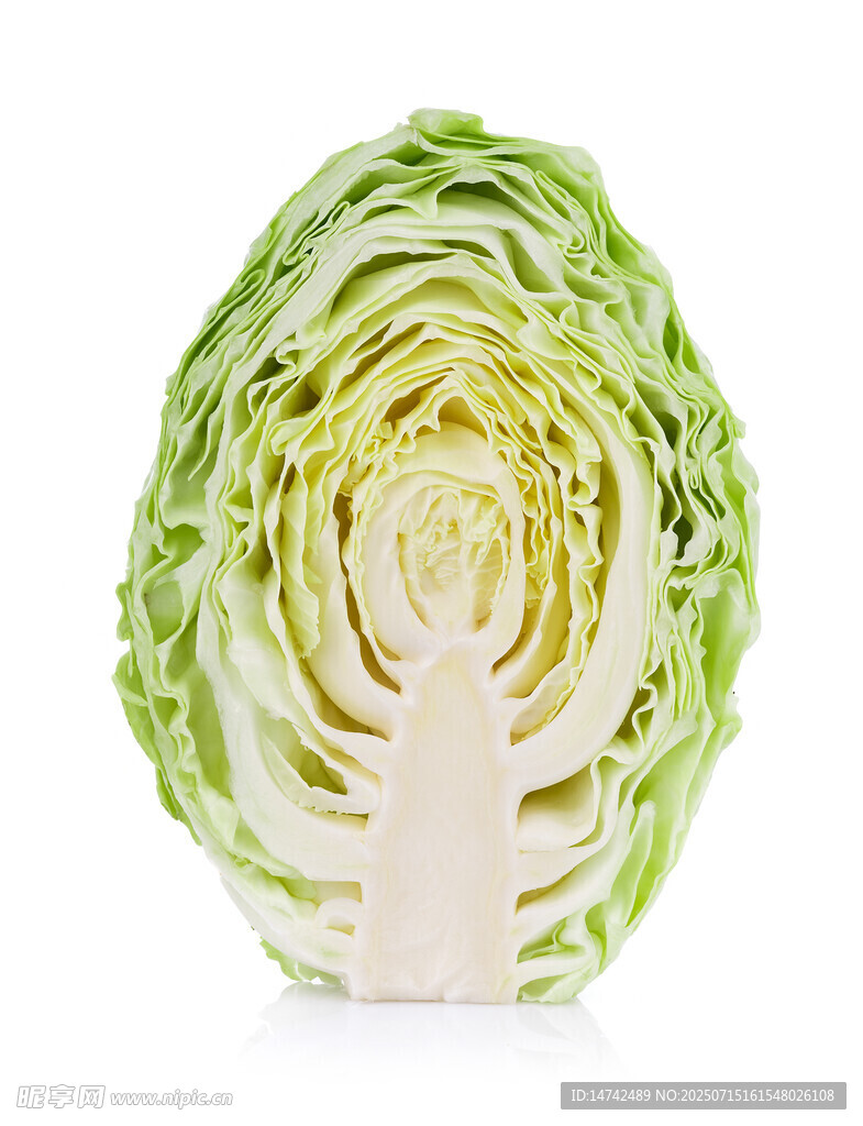 新鲜卷心菜