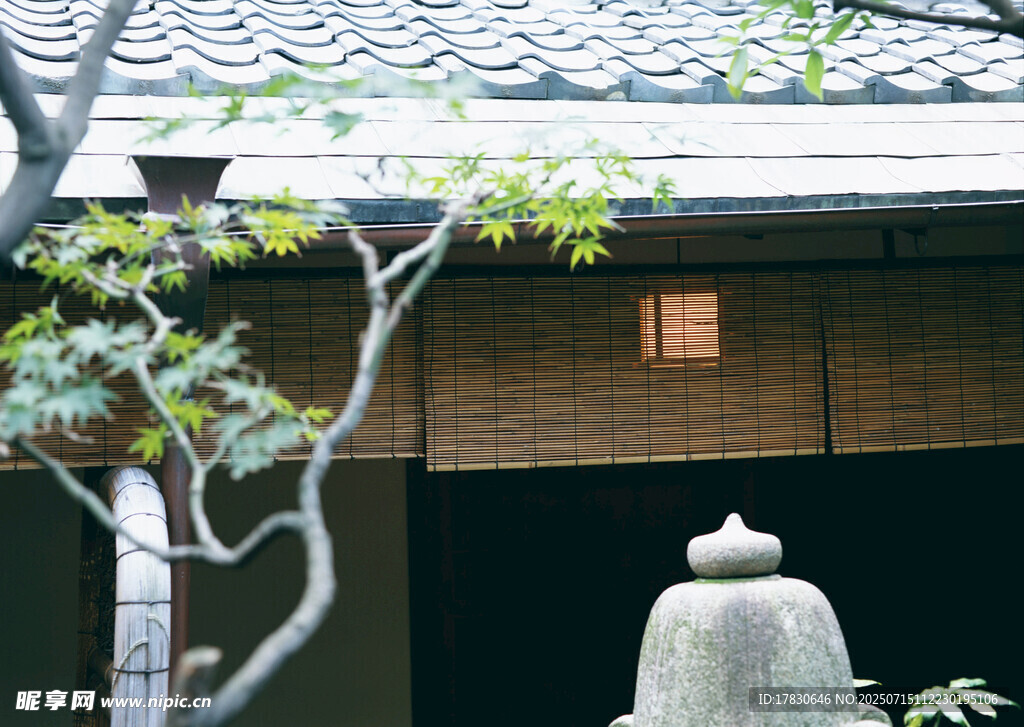 日式庭院景致