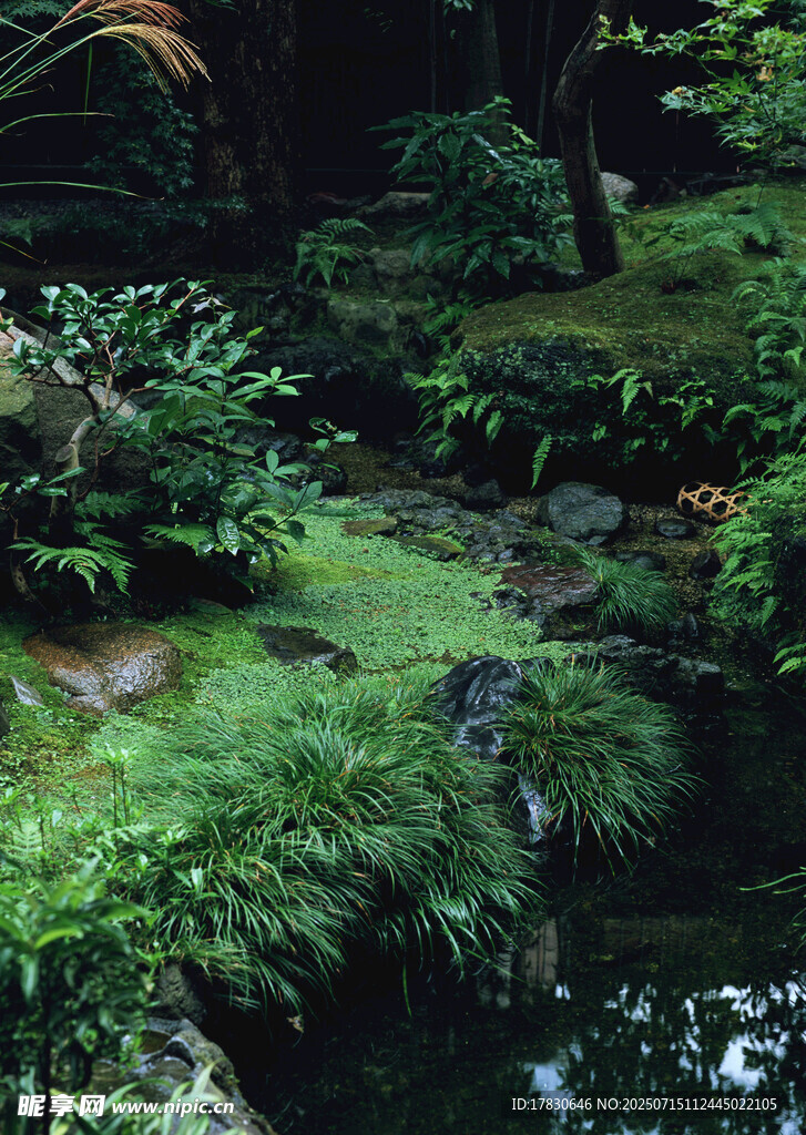 静谧的绿植水景花园
