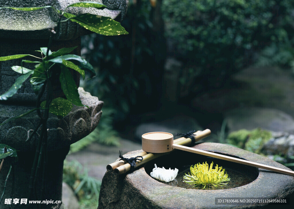 日式庭院中的禅意水景