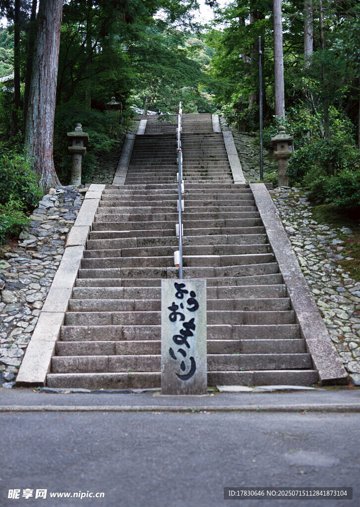 林间石阶步道
