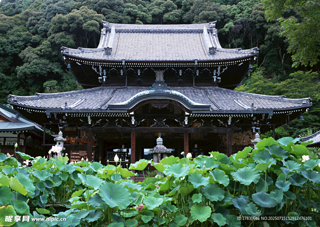 日式古建隐于葱郁绿植间